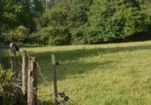 Parcela urbanizable en venta en la La Peñía - Valdáliga - CANTABRIA, La Peñía, ref: TR281207 foto