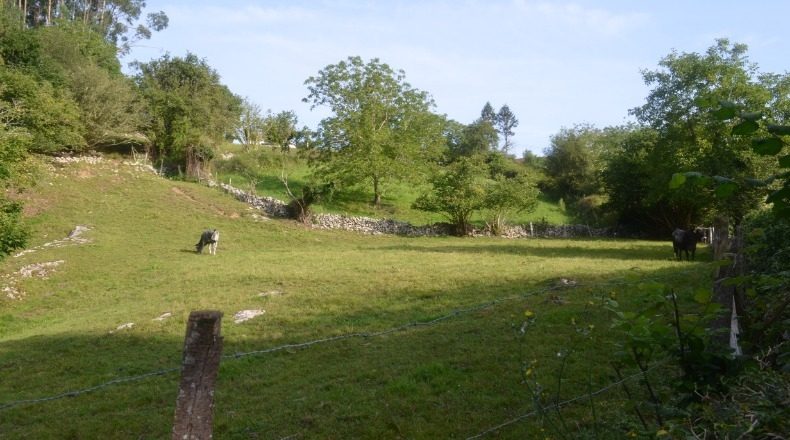 Cantabria - Ла Пенья - 1702m2