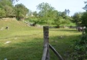 Parcela urbanizable en venta en la La Peñía - Valdáliga - CANTABRIA, La Peñía, ref: TR281207 foto