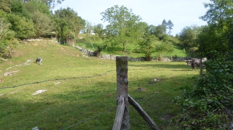 Cantabria - Ла Пенья - 1702m2