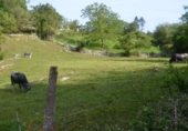 Parcela urbanizable en venta en la La Peñía - Valdáliga - CANTABRIA, La Peñía, ref: TR281207 foto