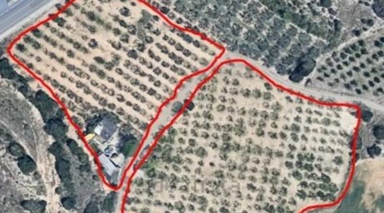 Tarragona - Constantí - 17000m2
