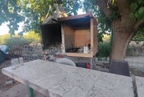 Foto 11