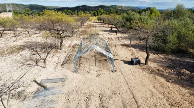 Tarragona - Tarragona - 5631m2