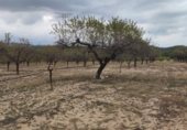 Terreny no urbanitzable en venda a la carrer del Centre, Tarragona, ref.: TR306051 foto
