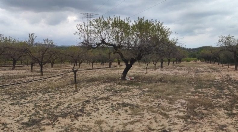 Tarragona - Tarragona - 5631m2