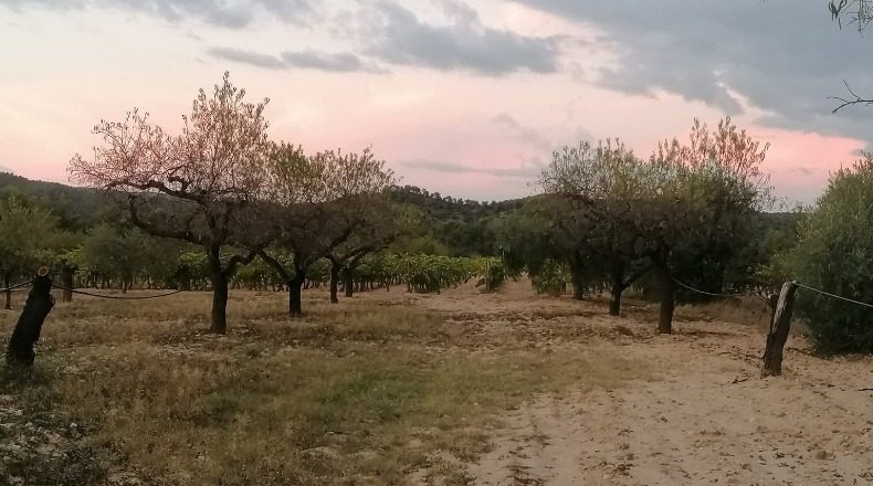 Tarragona - Tarragona - 5631m2