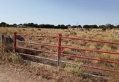 Non-developable land for sale on Pza Constitución, Ávila, ref: TR306050 photo