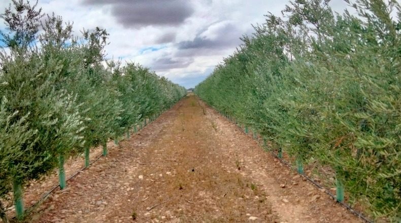 Navarra - Corella - 840000m2