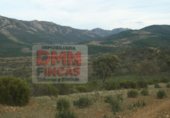 Terreno no urbanizable en venta en la Ciudad Real, ref: TR306566 foto