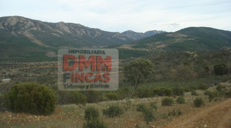 Ciudad Real - Сьюдад-Реаль - 6000000m2