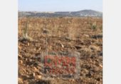 Terreno no urbanizable en venta en la Ciudad Real, ref: TR306565 foto