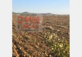 Terreno no urbanizable en venta en la Ciudad Real, ref: TR306565 foto