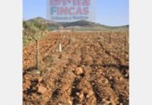 Terreno no urbanizable en venta en la Ciudad Real, ref: TR306565 foto