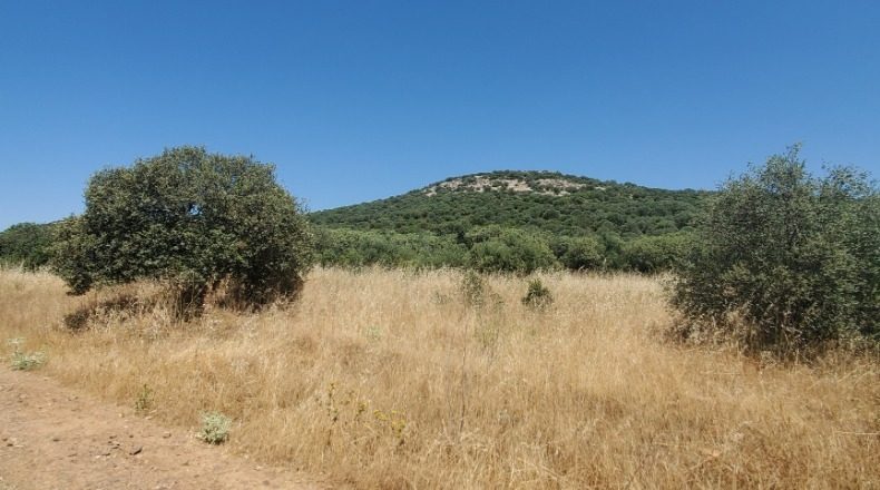 Ciudad Real - Ciudad Real - 1000000m2