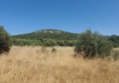 Terreno no urbanizable en venta en la Ciudad Real, ref: TR306599 foto