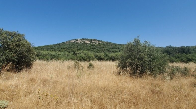 Ciudad Real - Ciudad Real - 1000000m2