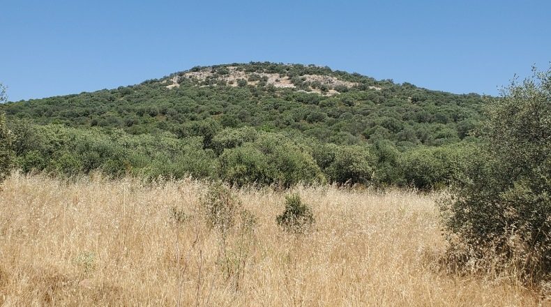 Ciudad Real - Ciudad Real - 1000000m2
