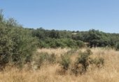 Terreno no urbanizable en venta en la Ciudad Real, ref: TR306599 foto