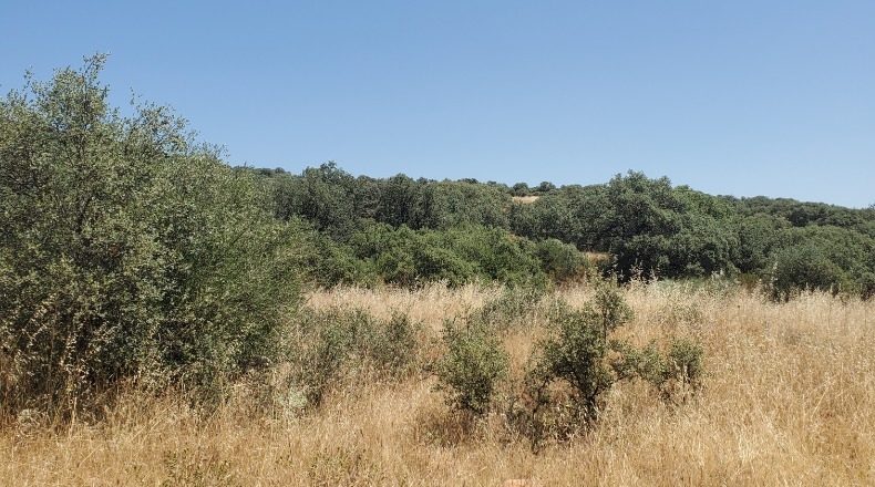 Ciudad Real - Ciudad Real - 1000000m2