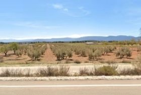 La Peza 25000&nbsp;м²