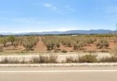 Non-developable land for sale on Carretera de Acceso a La Peza y Lopera, La Peza, ref: TR306707 photo