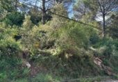 Non-developable land for sale on Carrer de la Piscina, Monistrol de Calders, ref: TR306960 photo