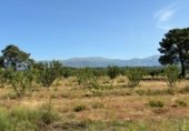 Terreno no urbanizable en venta en la Carretera de EX-119 a Jaraíz de la Vera, Jaraíz de la Vera, ref: TR307224 foto