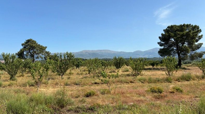 Caceres - Хараис-де-ла-Вера - 2274542m2