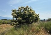 Terreno no urbanizable en venta en la Carretera de EX-119 a Jaraíz de la Vera, Jaraíz de la Vera, ref: TR307224 foto