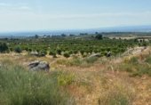 Terreno no urbanizable en venta en la Carretera de EX-119 a Jaraíz de la Vera, Jaraíz de la Vera, ref: TR307224 foto