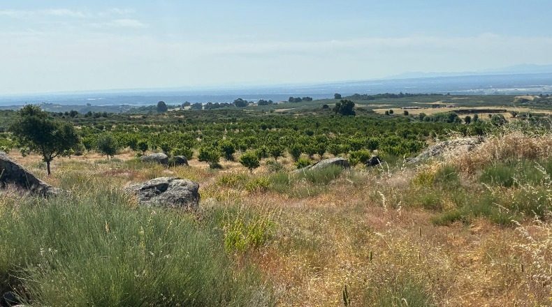 Caceres - Хараис-де-ла-Вера - 2274542m2