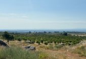 Terreno no urbanizable en venta en la Carretera de EX-119 a Jaraíz de la Vera, Jaraíz de la Vera, ref: TR307224 foto