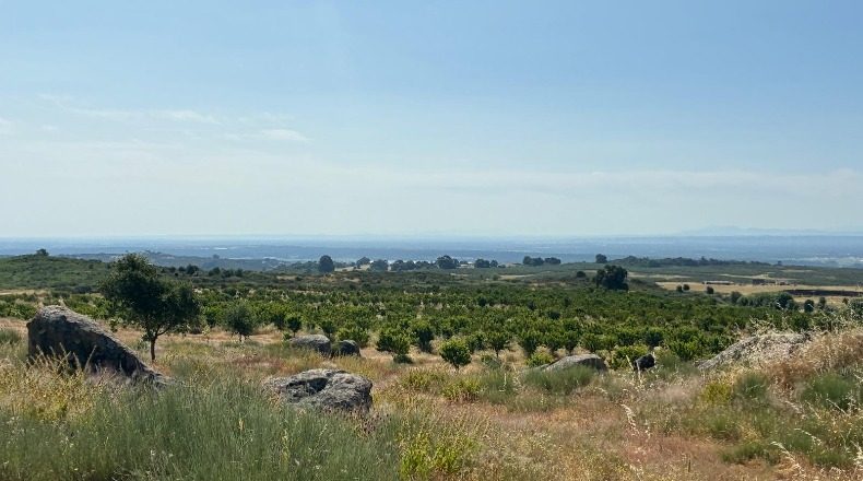 Caceres - Хараис-де-ла-Вера - 2274542m2