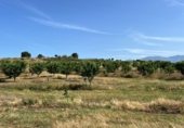 Terreno no urbanizable en venta en la Carretera de EX-119 a Jaraíz de la Vera, Jaraíz de la Vera, ref: TR307224 foto