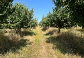 Terreno no urbanizable en venta en la Carretera de EX-119 a Jaraíz de la Vera, Jaraíz de la Vera, ref: TR307224 foto