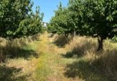 Terreno no urbanizable en venta en la Carretera de EX-119 a Jaraíz de la Vera, Jaraíz de la Vera, ref: TR307224 foto