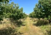 Terreno no urbanizable en venta en la Carretera de EX-119 a Jaraíz de la Vera, Jaraíz de la Vera, ref: TR307224 foto