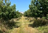 Terreno no urbanizable en venta en la Carretera de EX-119 a Jaraíz de la Vera, Jaraíz de la Vera, ref: TR307224 foto