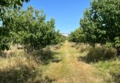 Terreno no urbanizable en venta en la Carretera de EX-119 a Jaraíz de la Vera, Jaraíz de la Vera, ref: TR307224 foto