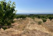 Terreno no urbanizable en venta en la Carretera de EX-119 a Jaraíz de la Vera, Jaraíz de la Vera, ref: TR307224 foto
