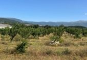 Terreno no urbanizable en venta en la Carretera de EX-119 a Jaraíz de la Vera, Jaraíz de la Vera, ref: TR307224 foto