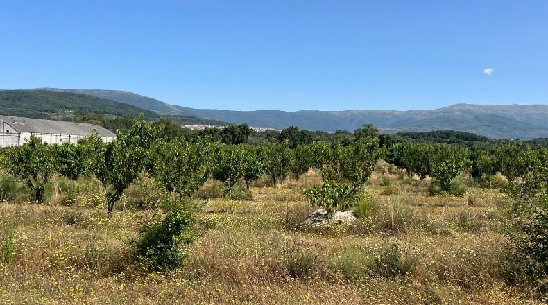 Caceres - Хараис-де-ла-Вера - 2274542m2