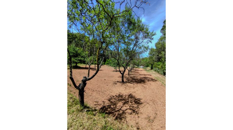 Barcelona - Castellfollit del Boix - 1714m2