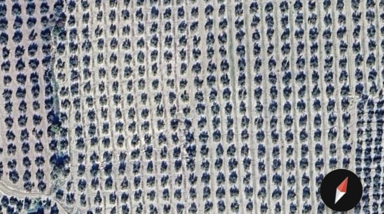 Jaen - Torreperogil - 300000m2