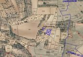 Non-developable land for sale on GU-143, Arbancón, ref: TR307295 photo