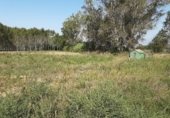 Terreno no urbanizable en venta en la Nacional 2, Sils, ref: TR307395 foto