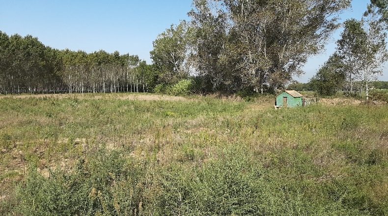 Gerona - Sils - 37000m2