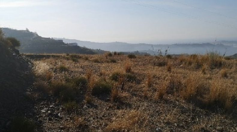 Málaga - Vélez-Málaga - 30636m2