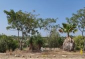 Land suitable for development for sale on Camí Xarcos Secs, Torrent, ref: TR307455 photo